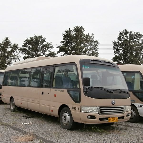 Land Ark New Energy Passenger Car Pure Electric